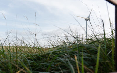 uitzicht op Neeltje Jans