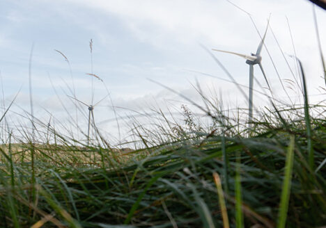 uitzicht op Neeltje Jans