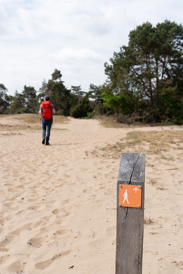 Man met rode rugzak loopt over zandverstuiving. Op de voorgrond een oranje routebordje op een houten paaltje. 